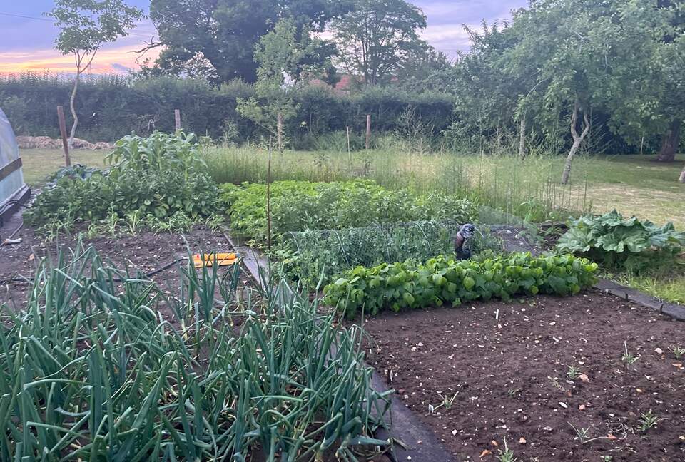 Stone Barns - Blaxhall, United Kingdom