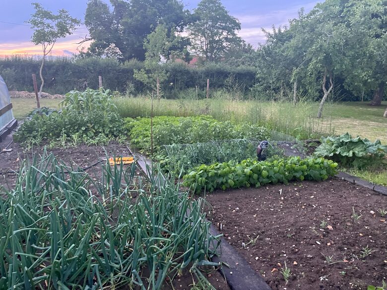 Stone Barns - Blaxhall, United Kingdom