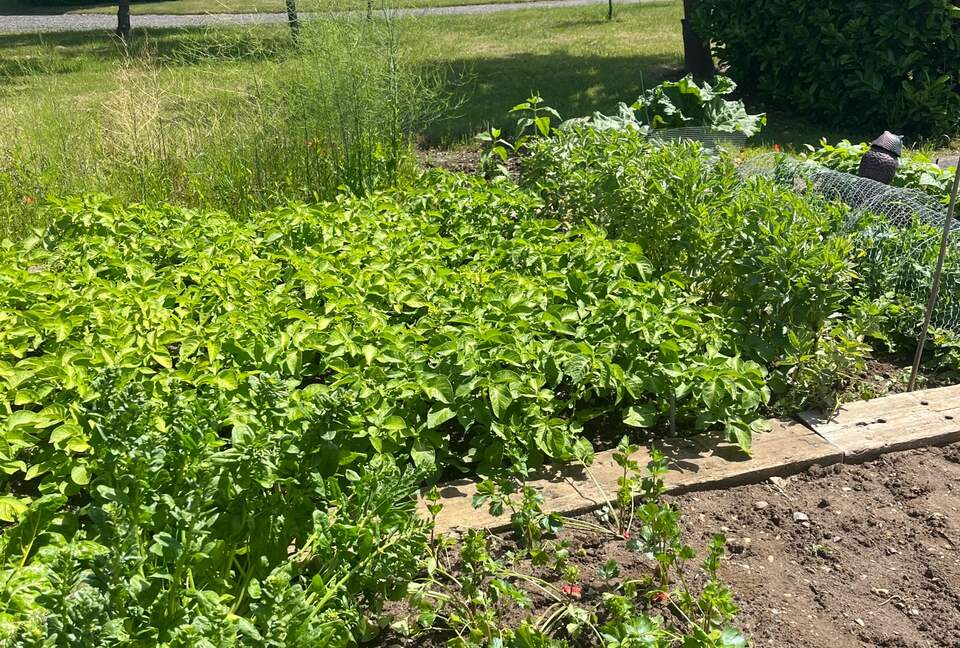 Stone Barns - Blaxhall, United Kingdom