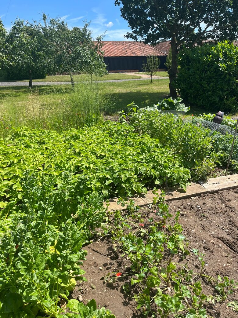 Stone Barns - Blaxhall, United Kingdom