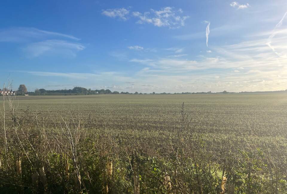 Stone Barns - Blaxhall, United Kingdom