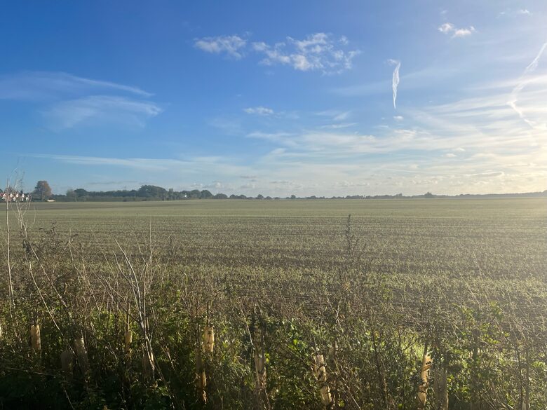 Stone Barns - Blaxhall, United Kingdom