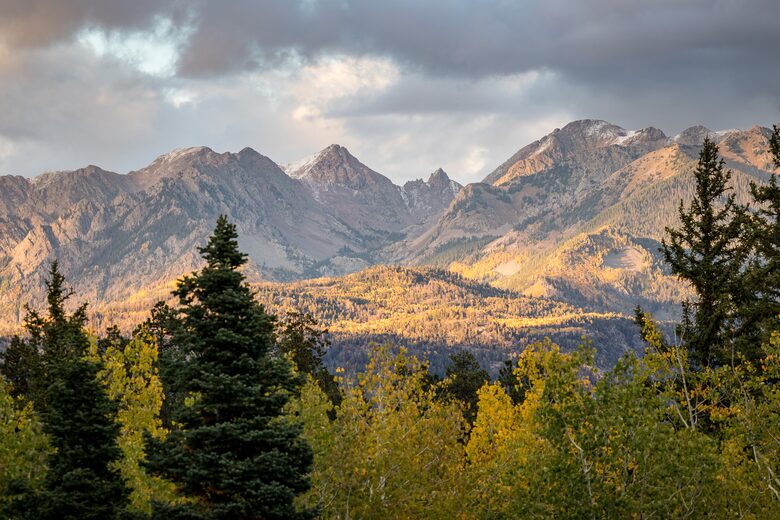 Views of trees and mountain ranges.