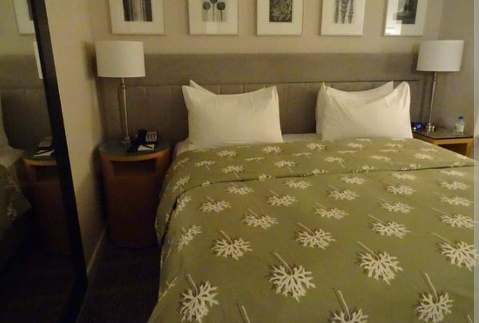 Calm Oasis in New York City - New York, New York