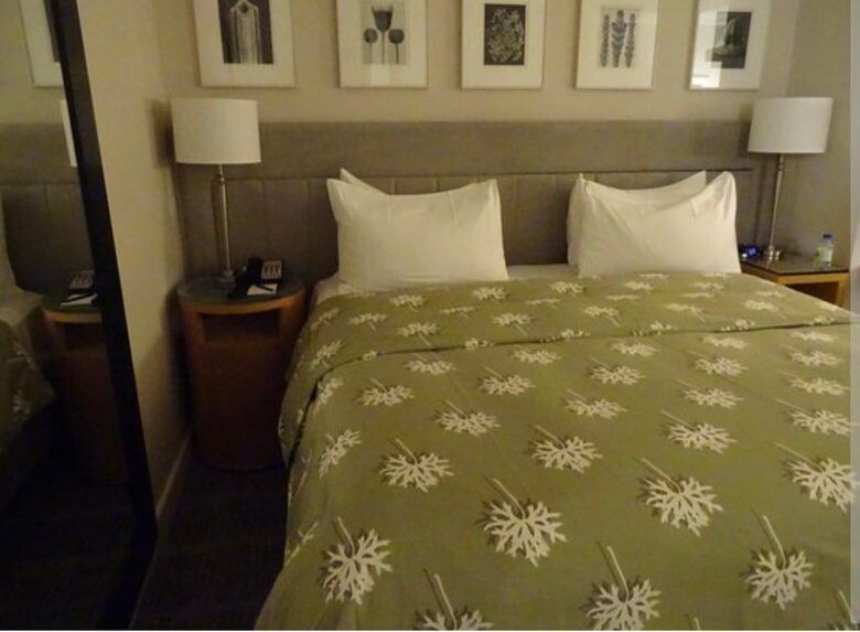 Calm Oasis in New York City - New York, New York