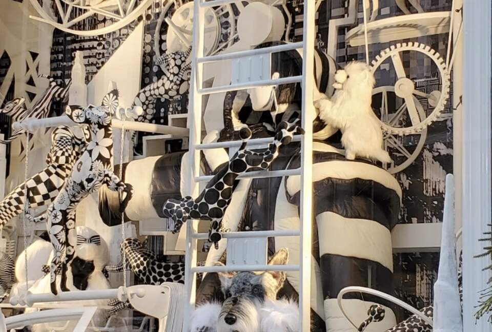 Calm Oasis in New York City - New York, New York