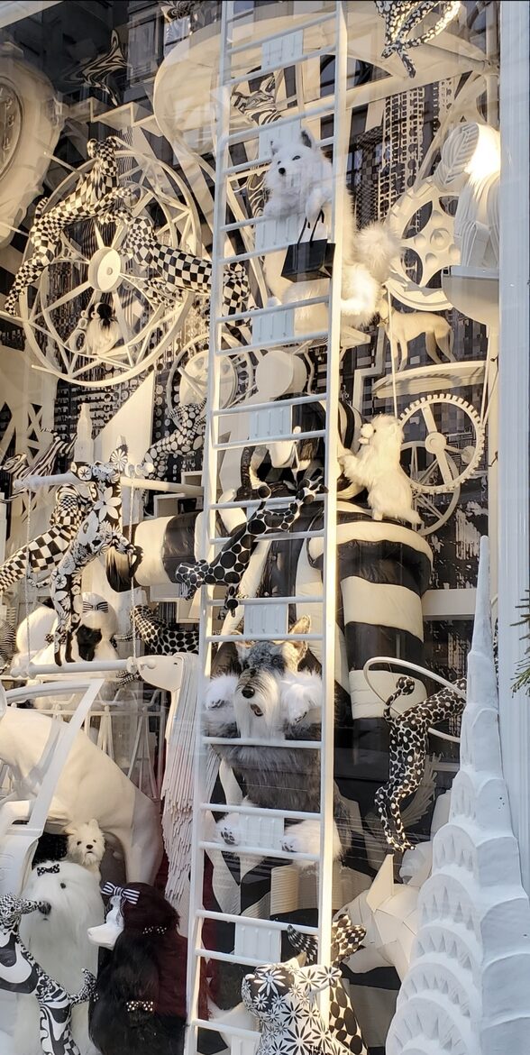 Calm Oasis in New York City - New York, New York