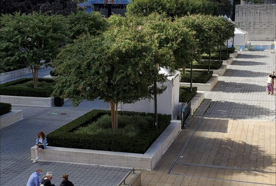 Calm Oasis in New York City - New York, New York