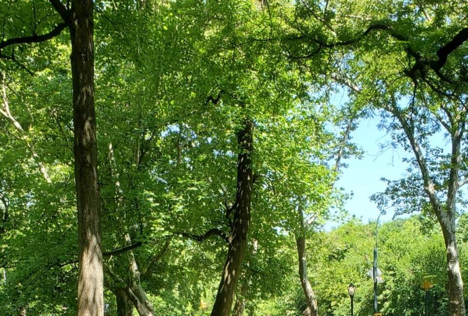 Calm Oasis in New York City - New York, New York