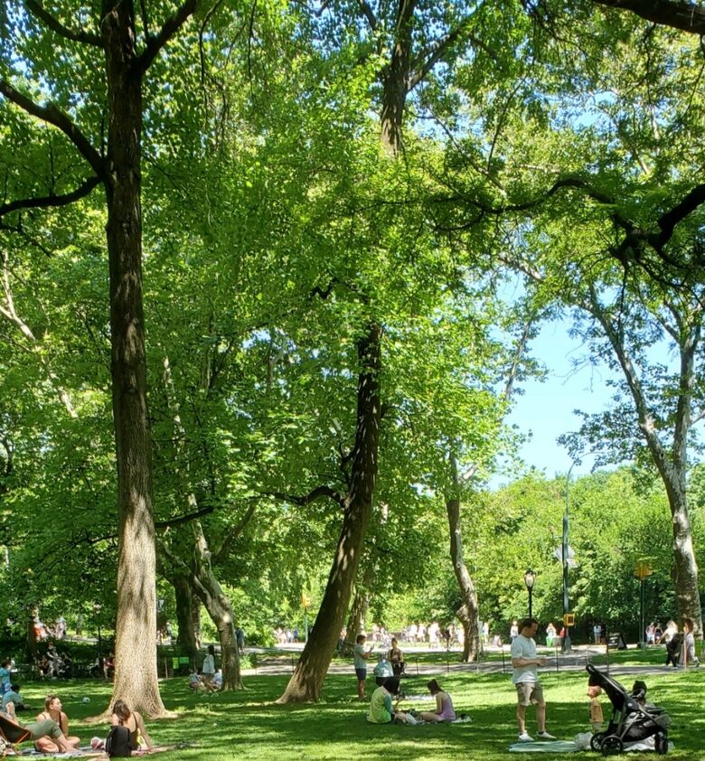 Calm Oasis in New York City - New York, New York