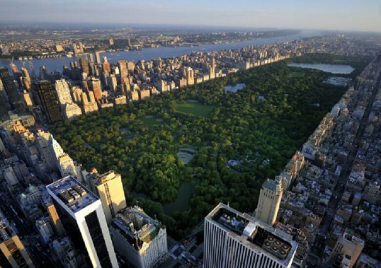 Calm Oasis in New York City - New York, New York