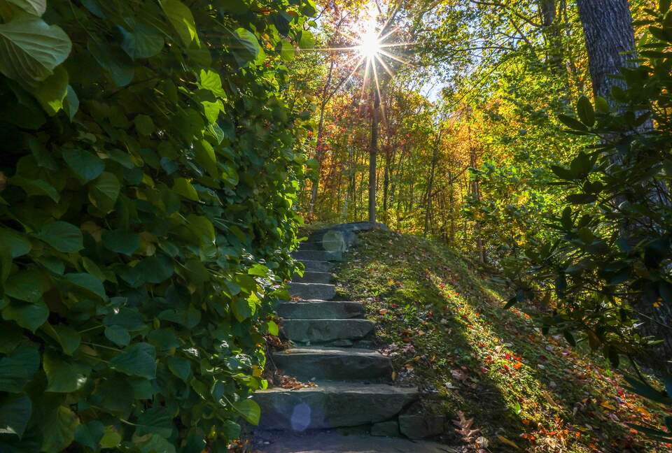 Bear Lake Reserve Mountain Estate - Tuckasegee, North Carolina