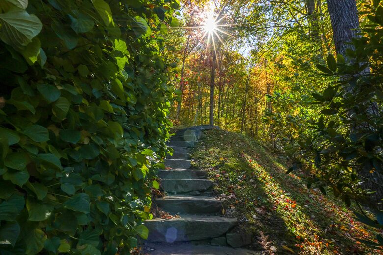 Bear Lake Reserve Mountain Estate - Tuckasegee, North Carolina