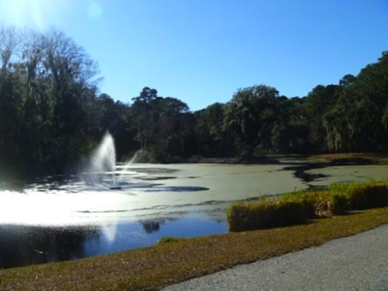 Daufuskie Island Oceanfront Cottage - Daufuskie Island, South Carolina