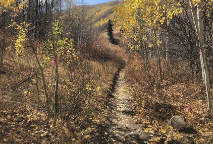 Private Luxury Townhome at Canyons Resort - Park City, Utah