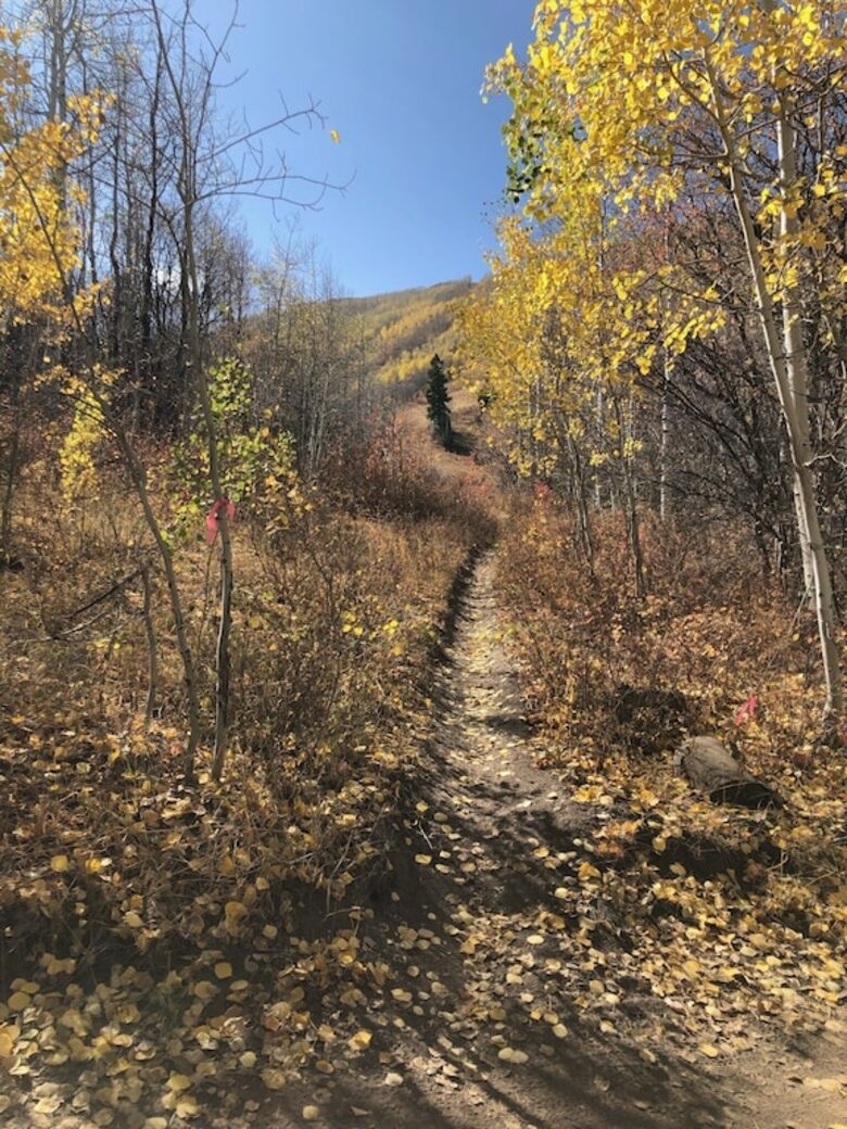 Private Luxury Townhome at Canyons Resort - Park City, Utah