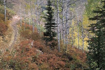 Private Luxury Townhome at Canyons Resort - Park City, Utah
