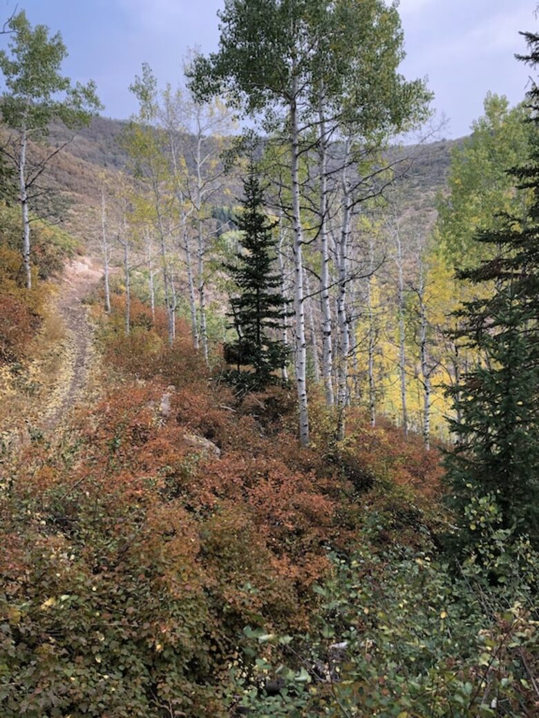 Private Luxury Townhome at Canyons Resort - Park City, Utah