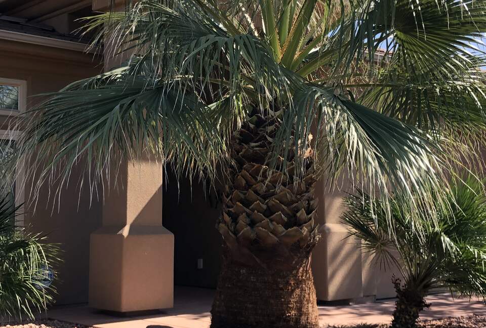 St. George Golf and Hiking Retreat - Saint George, Utah