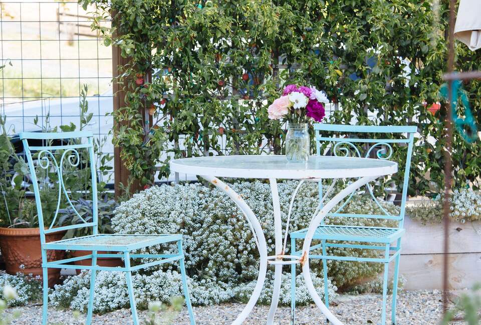 Stunning Sonoma Farmhouse with Pool and Vineyard Views - Petaluma, California