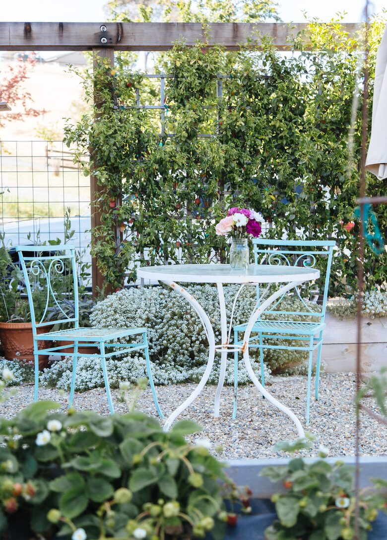 Stunning Sonoma Farmhouse with Pool and Vineyard Views - Petaluma, California