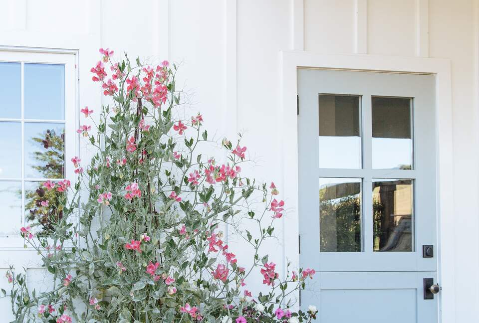 Stunning Sonoma Farmhouse with Pool and Vineyard Views - Petaluma, California