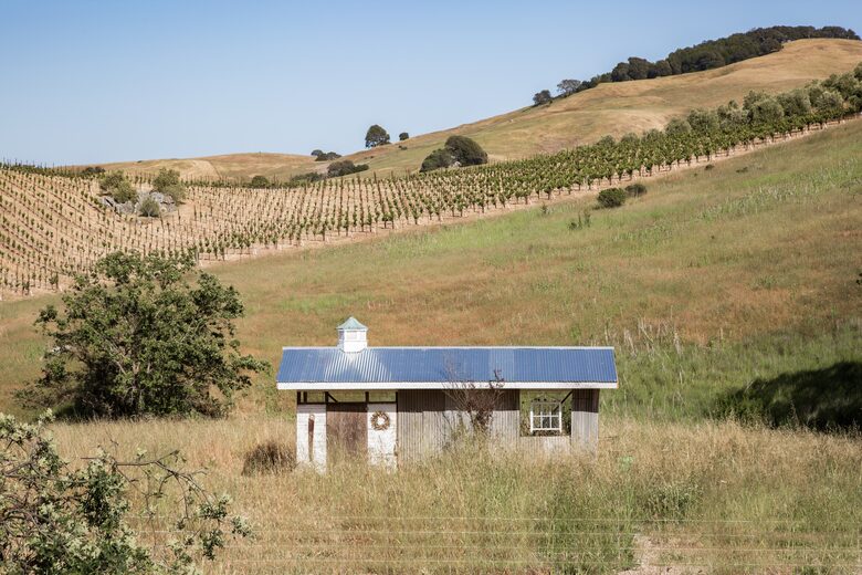 Guest House at the Stunning Sonoma Farmhouse With Vineyard Views - Petaluma, California