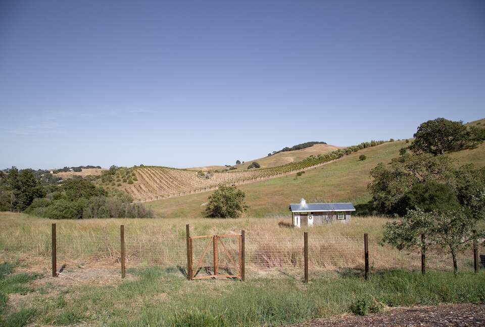 Stunning Sonoma Farmhouse with Pool and Vineyard Views - Petaluma, California