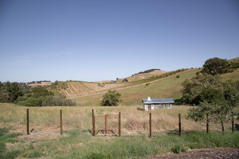 Stunning Sonoma Farmhouse with Pool and Vineyard Views - Petaluma, California
