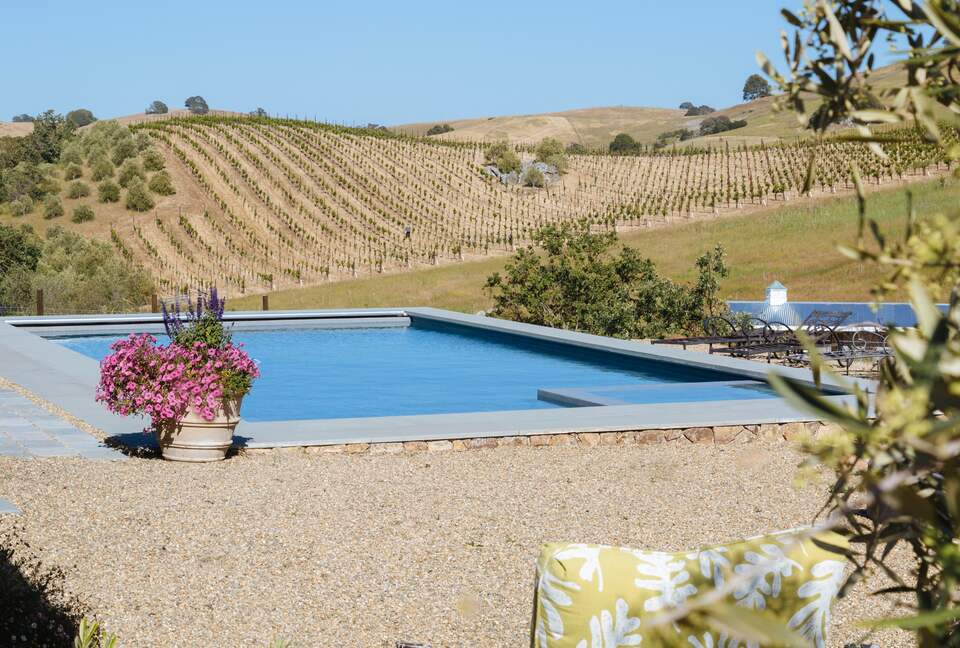 Stunning Sonoma Farmhouse with Pool and Vineyard Views - Petaluma, California