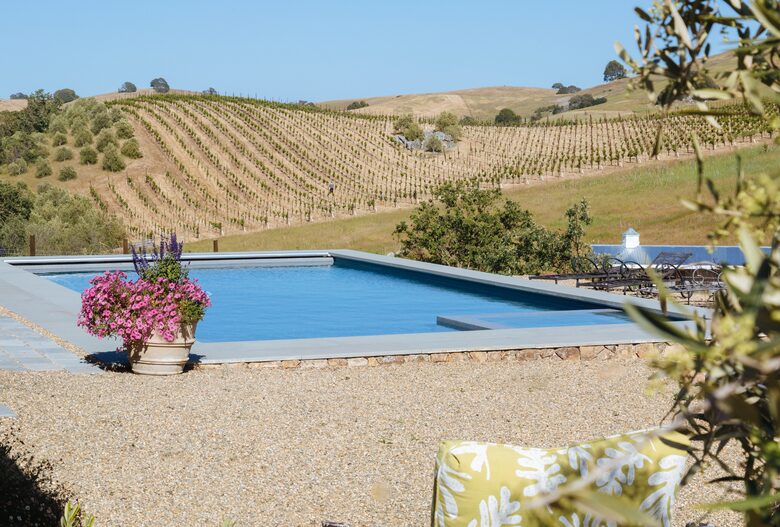 Stunning Sonoma Farmhouse with Pool and Vineyard Views - Petaluma, California