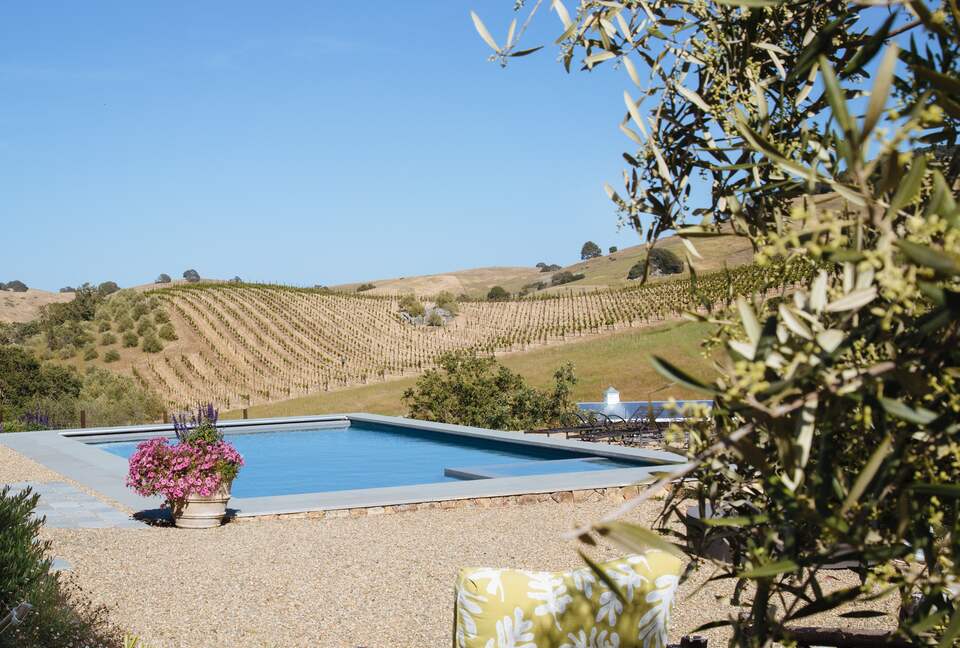 Stunning Sonoma Farmhouse with Pool and Vineyard Views - Petaluma, California
