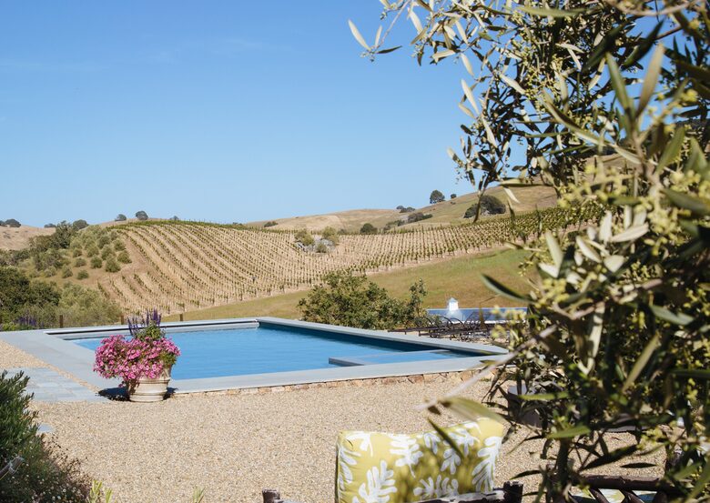 Stunning Sonoma Farmhouse with Pool and Vineyard Views - Petaluma, California