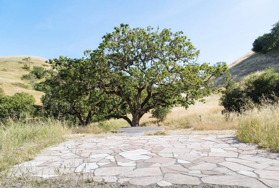 Guest House at the Stunning Sonoma Farmhouse With Vineyard Views - Petaluma, California