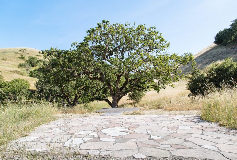 Guest House at the Stunning Sonoma Farmhouse With Vineyard Views - Petaluma, California