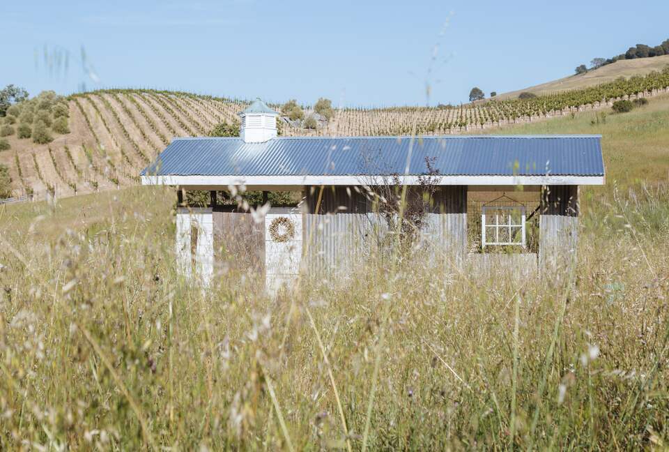 Stunning Sonoma Farmhouse with Pool and Vineyard Views - Petaluma, California