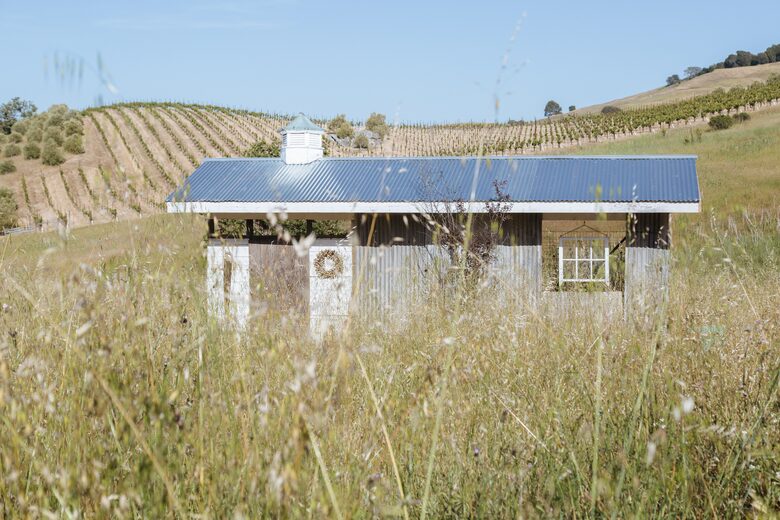 Stunning Sonoma Farmhouse with Pool and Vineyard Views - Petaluma, California