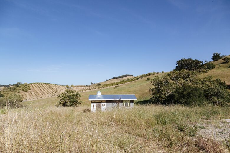 Guest House at the Stunning Sonoma Farmhouse With Vineyard Views - Petaluma, California