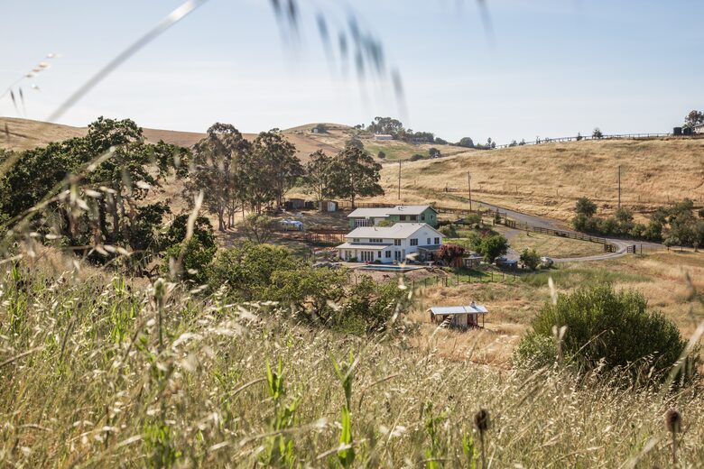 Stunning Sonoma Farmhouse with Pool and Vineyard Views - Petaluma, California