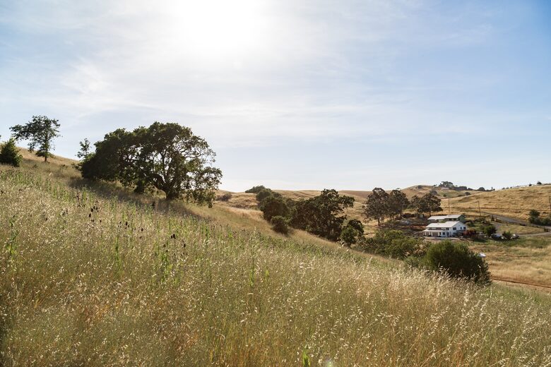 Guest House at the Stunning Sonoma Farmhouse With Vineyard Views - Petaluma, California