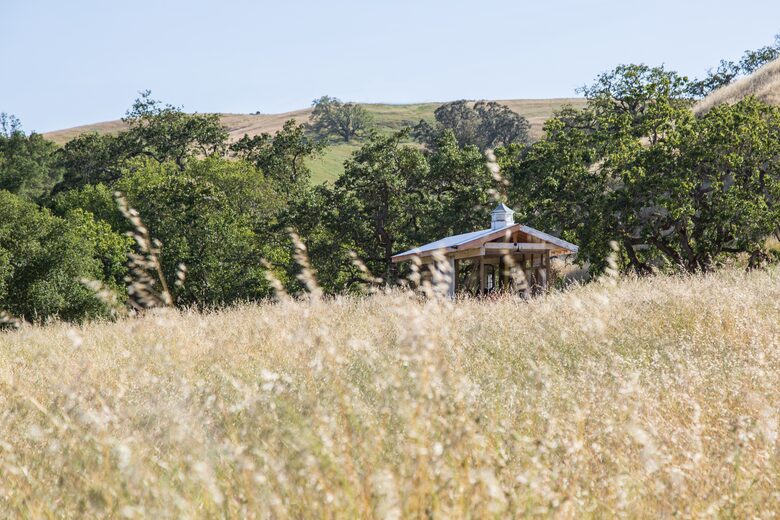 Guest House at the Stunning Sonoma Farmhouse With Vineyard Views - Petaluma, California