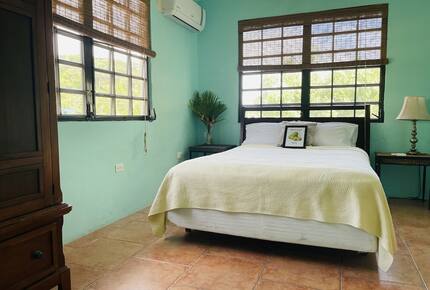 Pura Vida Luxury Estate - Ensenada, Puerto Rico