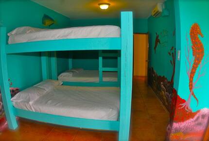 Pura Vida Luxury Estate - Ensenada, Puerto Rico