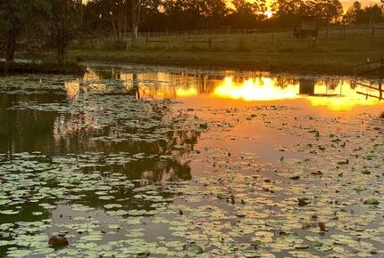 Yaroomba Beach Pavilion - Yaroomba, Australia
