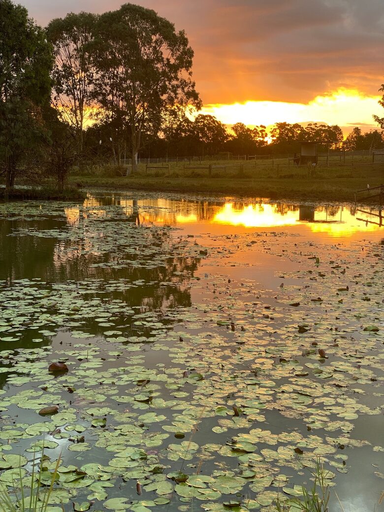 Yaroomba Beach Pavilion - Yaroomba, Australia