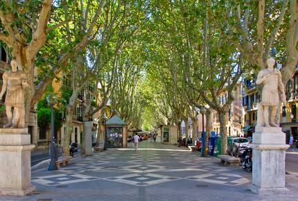 "The Dove" | Lagoon 40 Catamaran - Palma, Spain