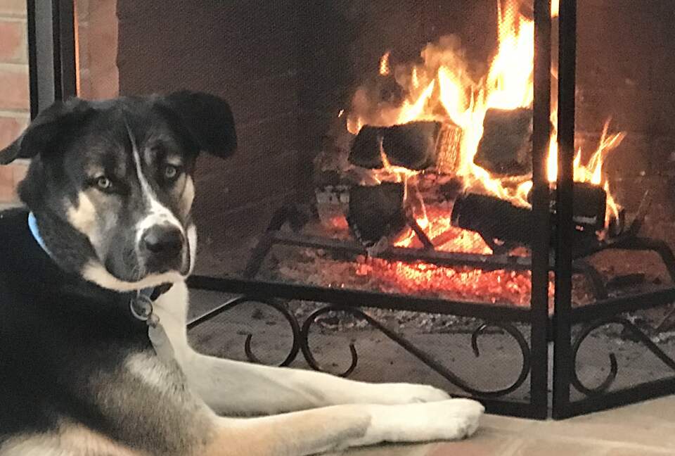 Waterfront Ferry Bridge House - Easton, Maryland