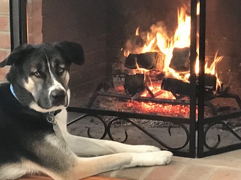Waterfront Ferry Bridge House - Easton, Maryland