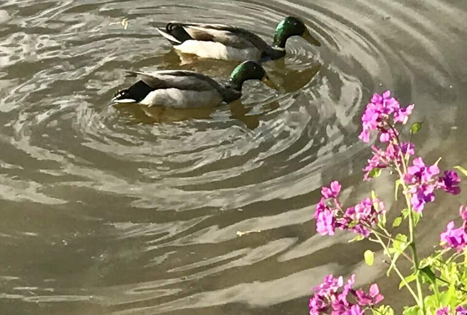 Waterfront Ferry Bridge House - Easton, Maryland