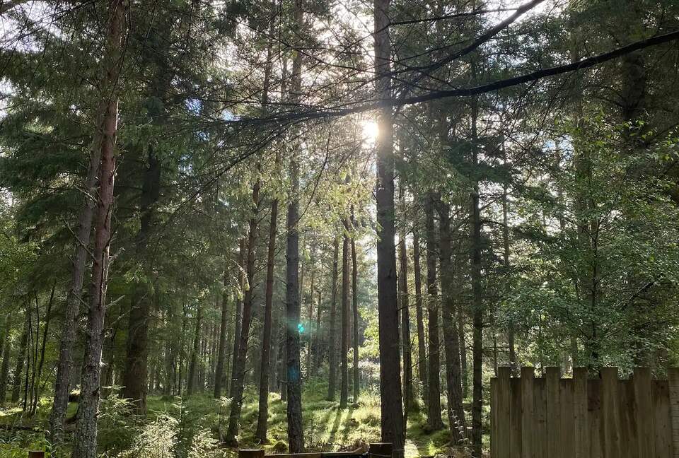 Lag na Coille - Nethy Bridge, United Kingdom
